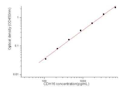 Sandwich ELISA: Cadherin-16 Antibody Pair [HRP] [NBP2-79321]